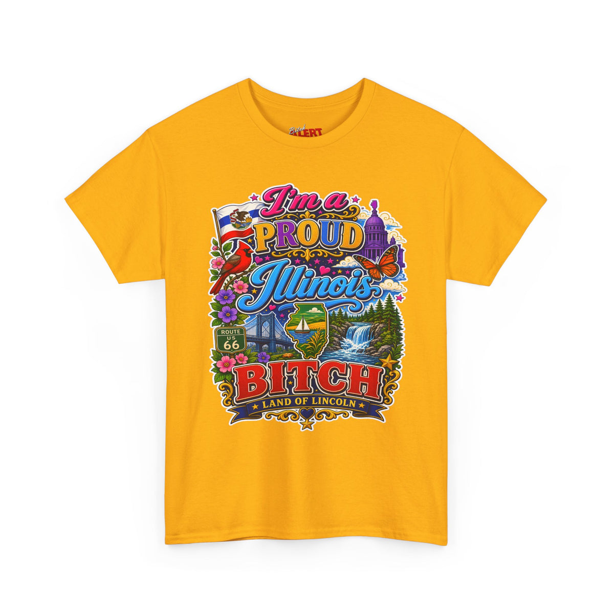 Illinois Proud Bitch T-Shirt – Colorful State Pride Tee