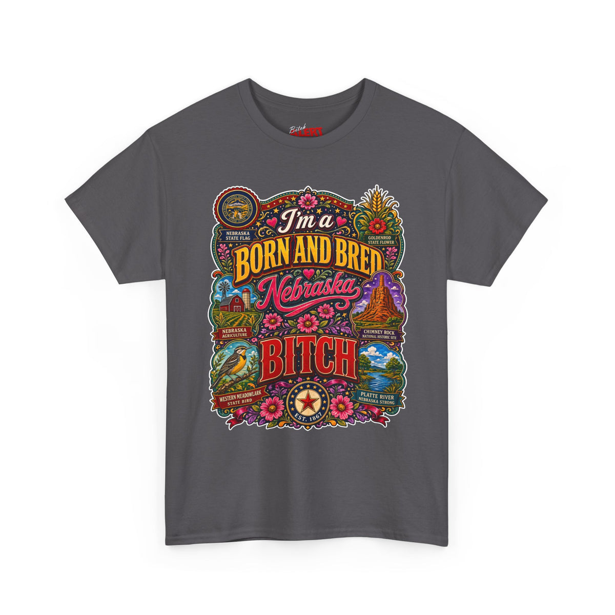 Nebraska Born & Bred Tee 2 — "I'm a Born and Bred Nebraska Bitch" Vintage State Pride T‑Shirt