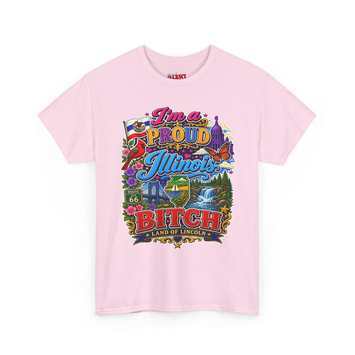 Illinois Proud Bitch T-Shirt – Colorful State Pride Tee