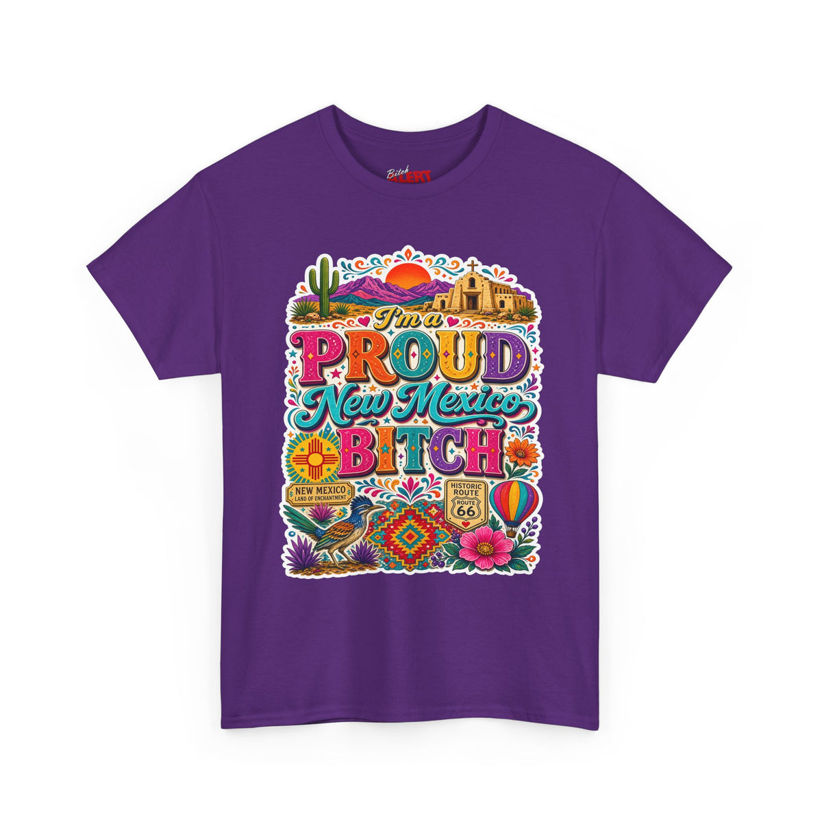 New Mexico Pride T‑Shirt — Colorful Southwestern Graphic Tee