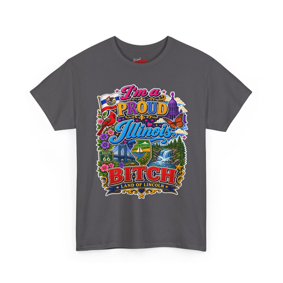 Illinois Proud Bitch T-Shirt – Colorful State Pride Tee