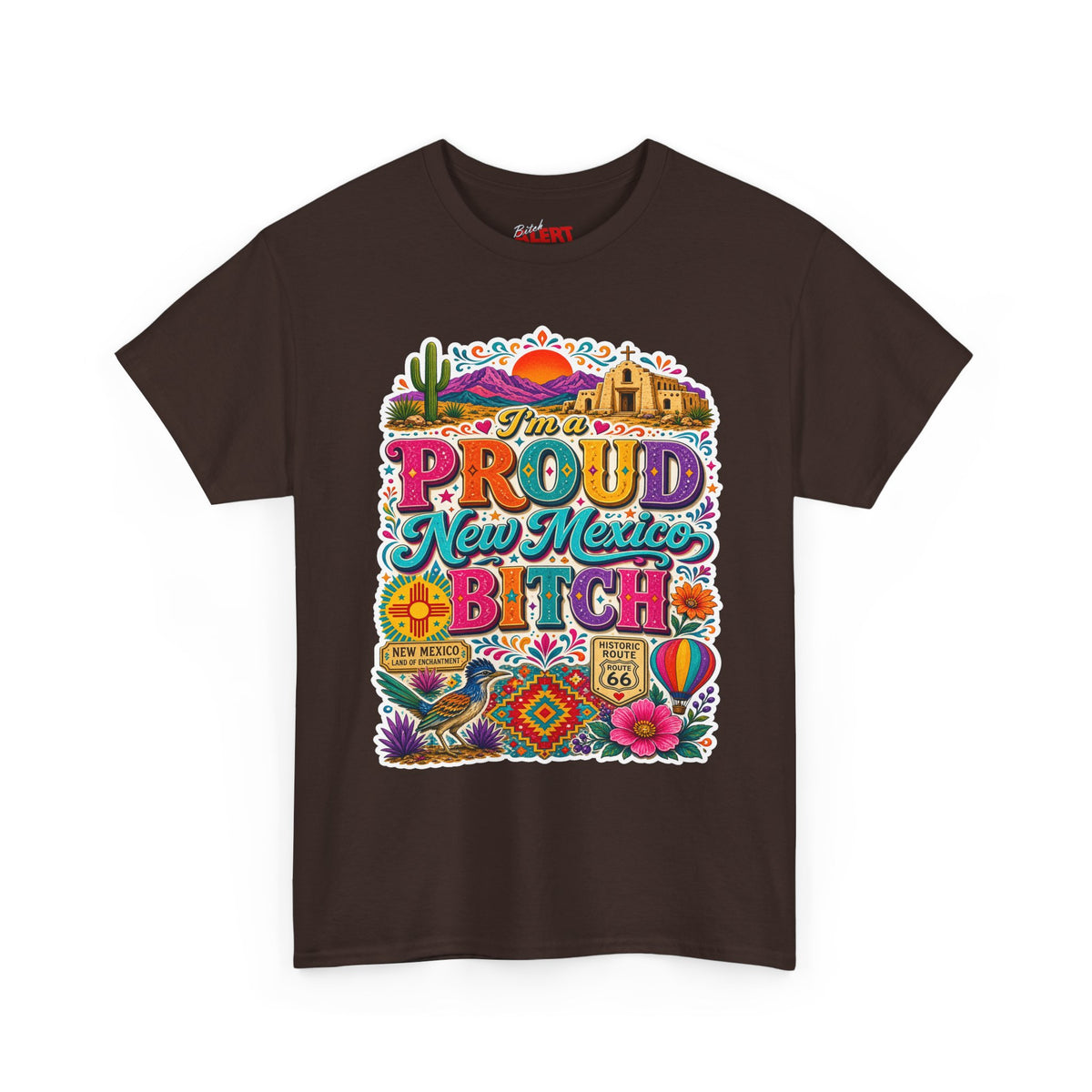 New Mexico Pride T‑Shirt — Colorful Southwestern Graphic Tee