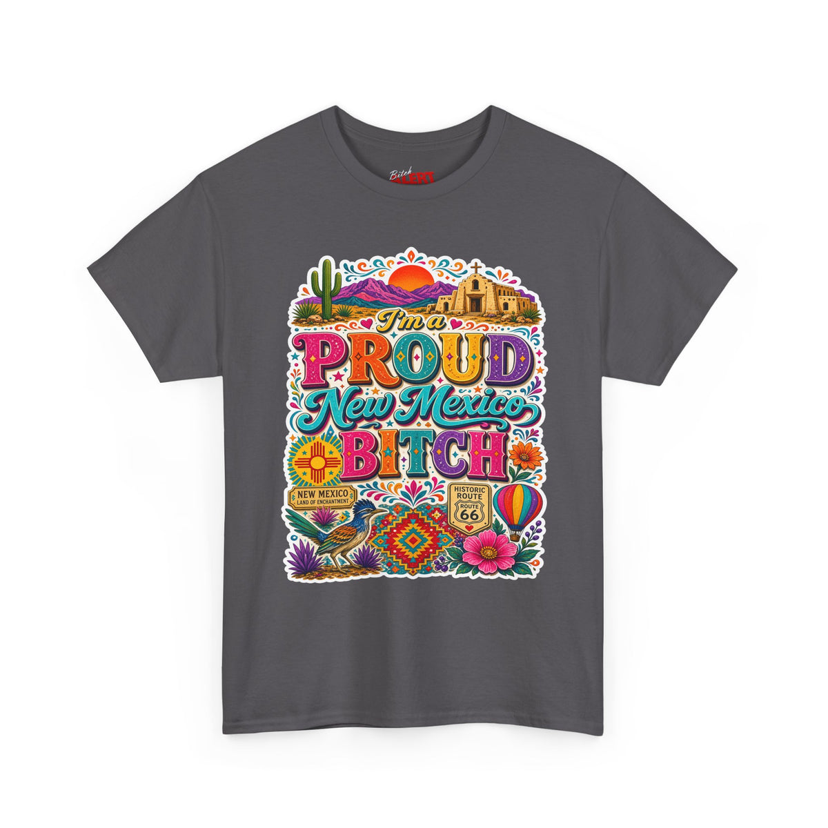 New Mexico Pride T‑Shirt — Colorful Southwestern Graphic Tee