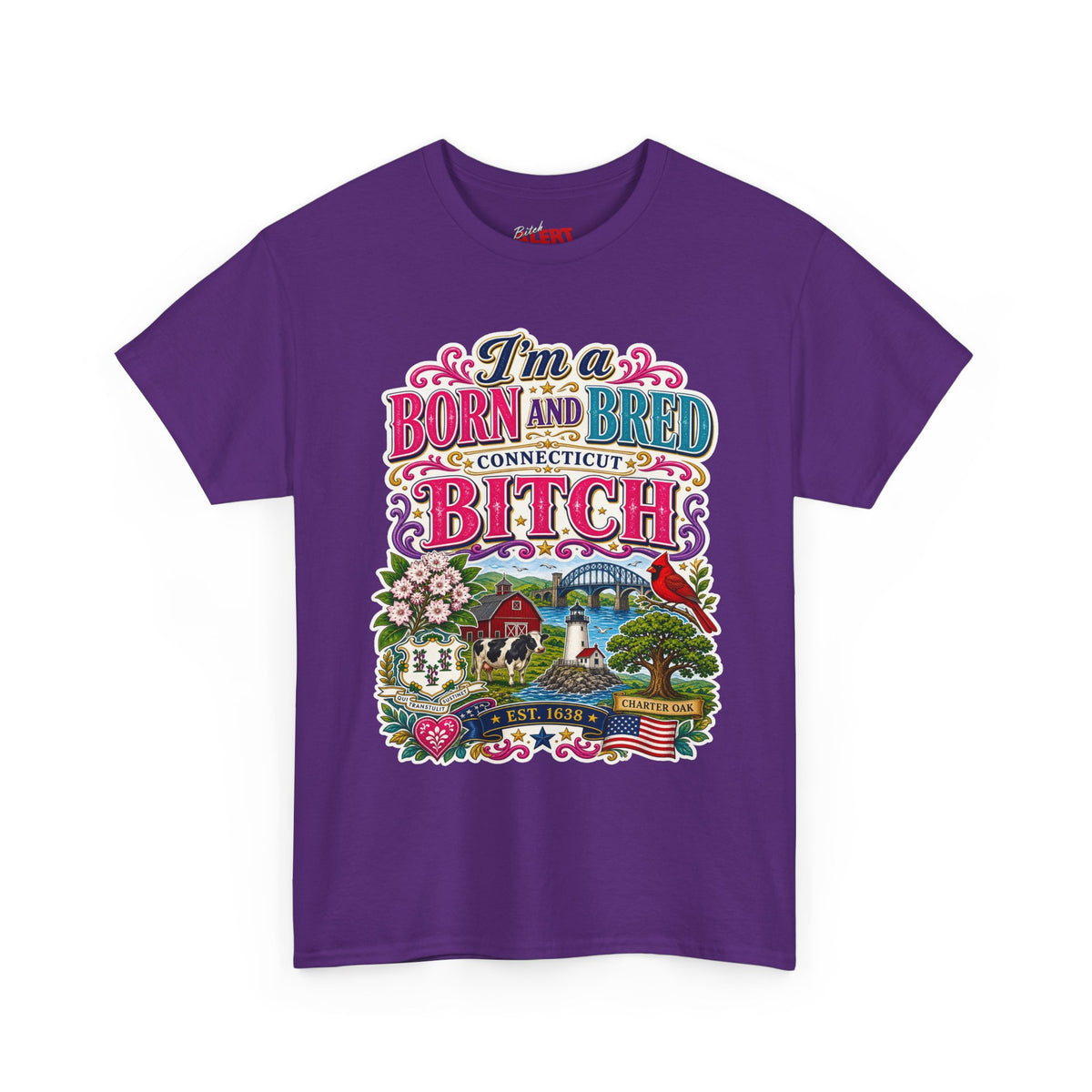 Connecticut Born and Bred Graphic Tee — "I'm a Born and Bred Connecticut Bitch"