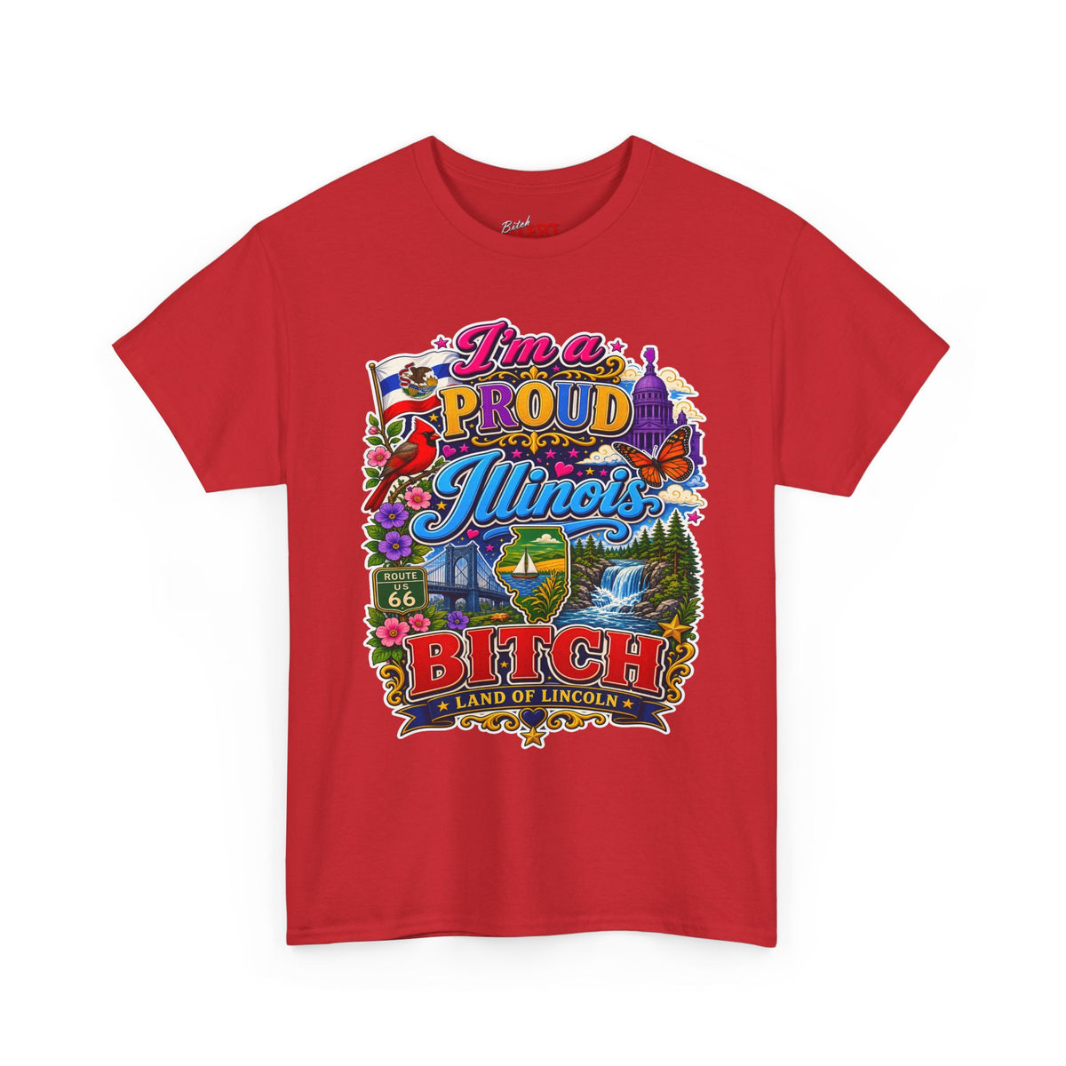 Illinois Proud Bitch T-Shirt – Colorful State Pride Tee