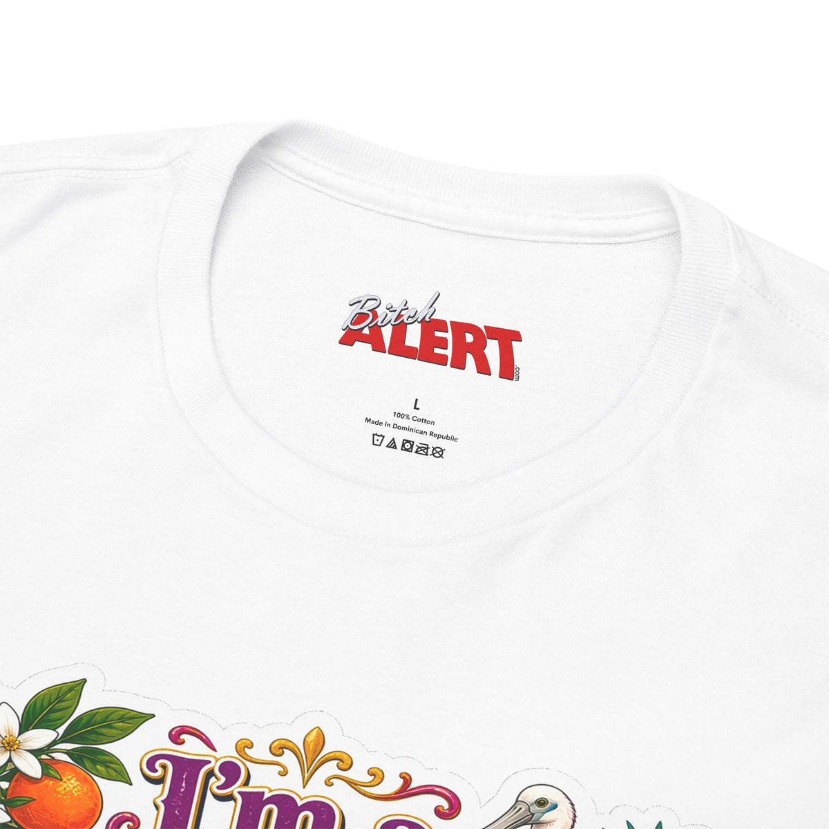Florida Born & Bred Tee — "I'm a Born and Bred Florida Bitch" Colorful Retro State Pride T-Shirt