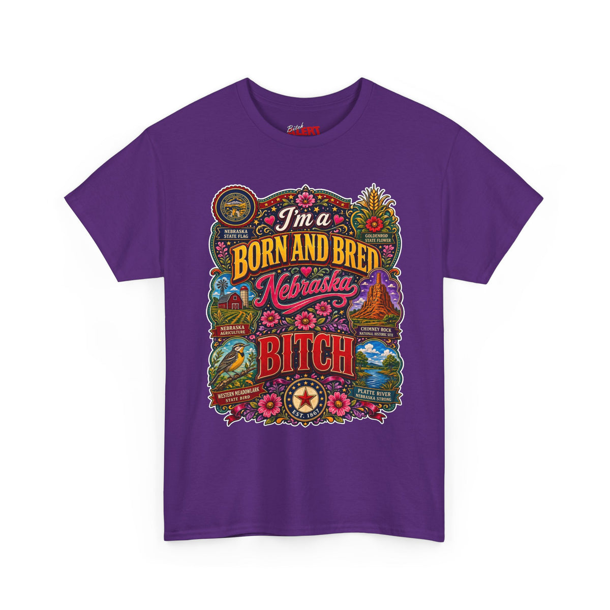 Nebraska Born & Bred Tee 2 — "I'm a Born and Bred Nebraska Bitch" Vintage State Pride T‑Shirt