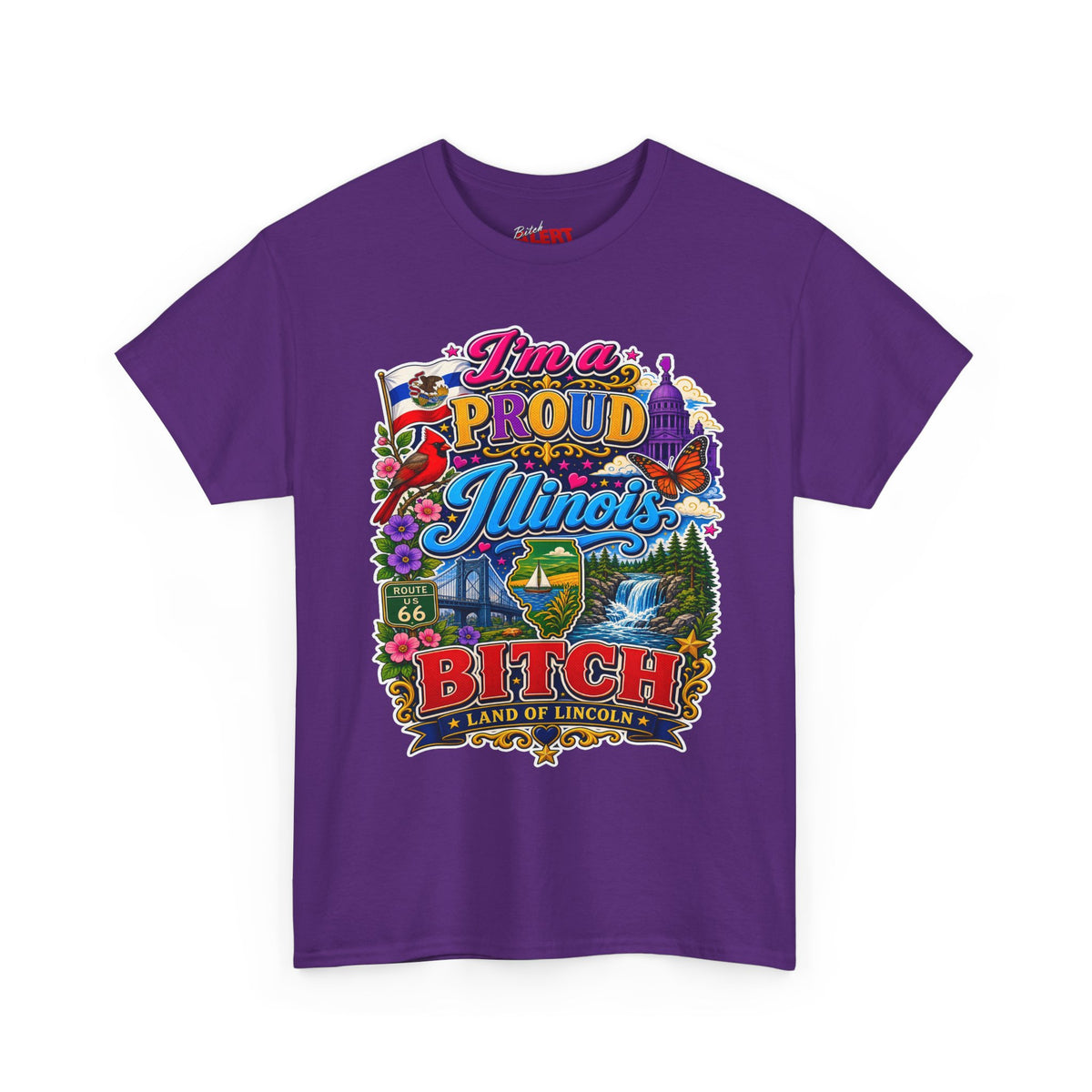Illinois Proud Bitch T-Shirt – Colorful State Pride Tee